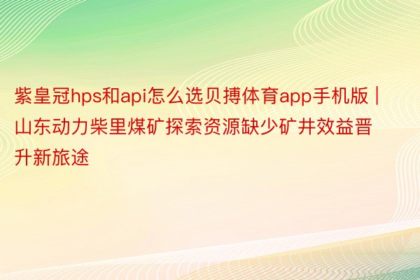 紫皇冠hps和api怎么选贝搏体育app手机版 | 山东动力柴里煤矿探索资源缺少矿井效益晋升新旅途